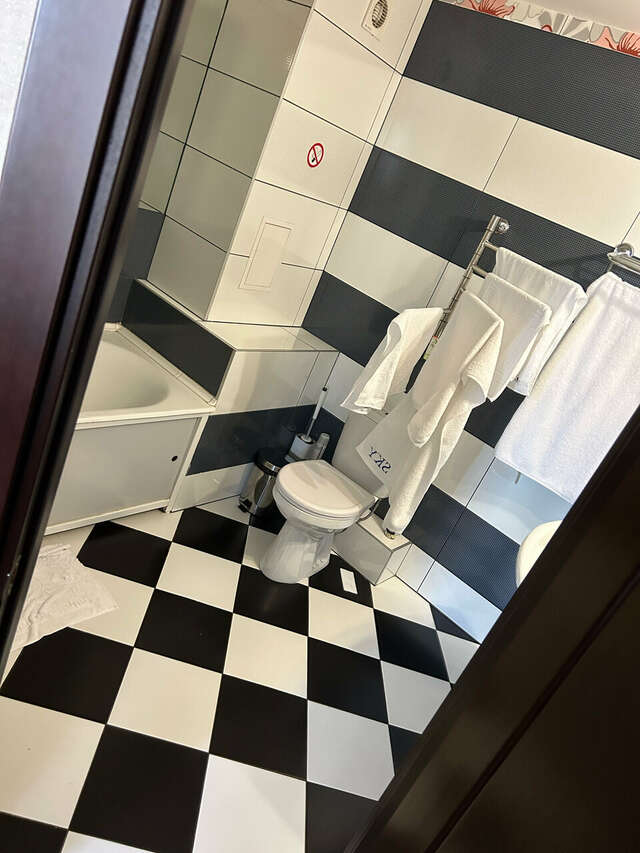 Гостиница Sky Красноярск-99